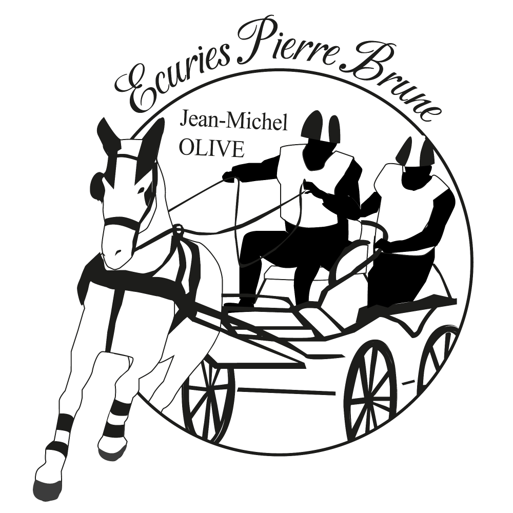 logo Écuries de Pierre Brune (1)