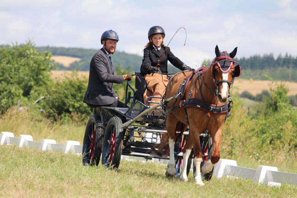 chevaux d'attelage près de Tullins
