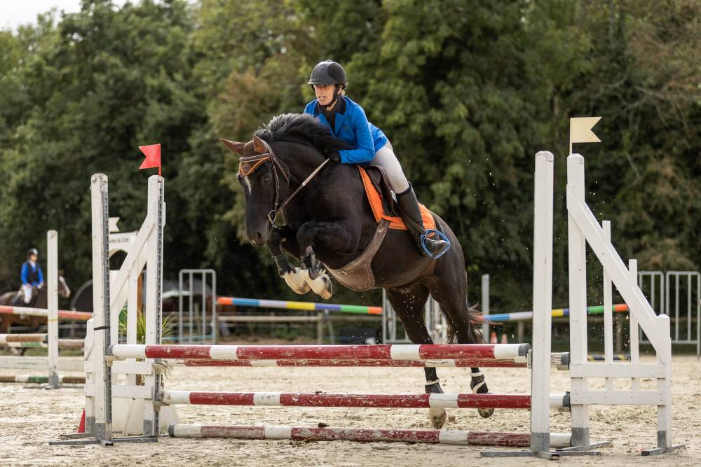 concours de saut d'obstacles (1)