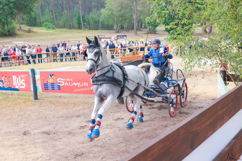 concours d'attelage