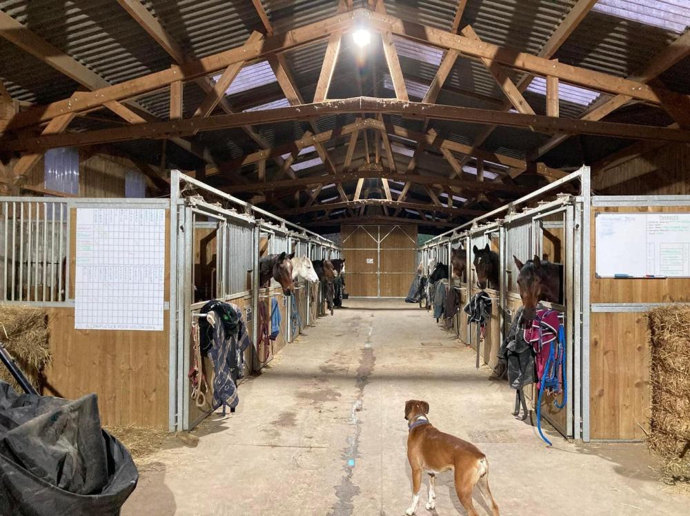 pension pour chevaux (13)