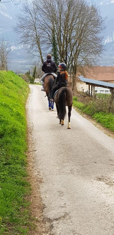 balade cheval près de Tullins