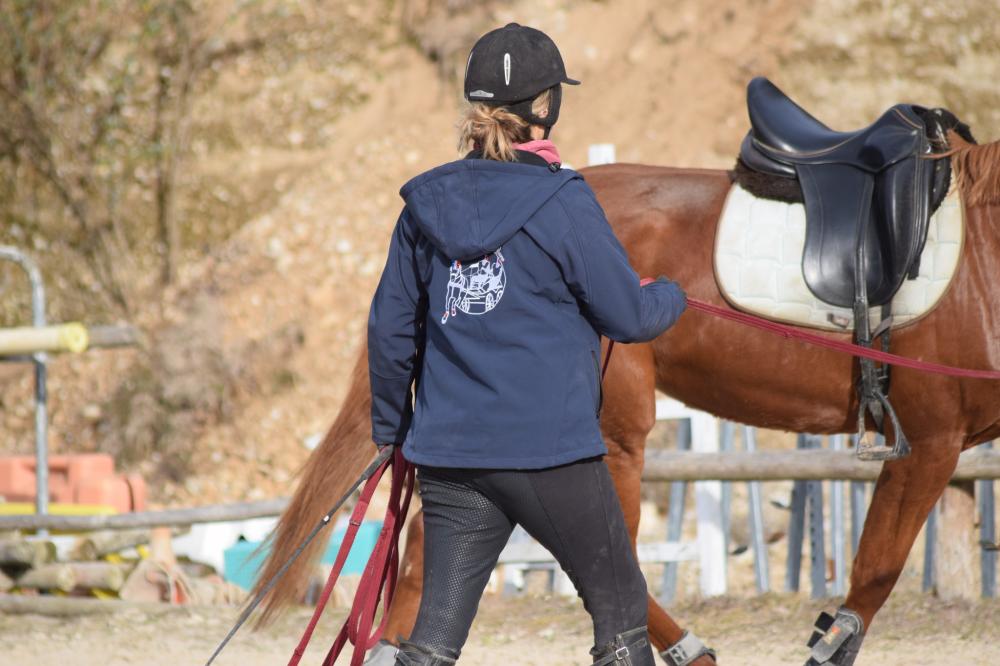 dressage chevaux près de Tullins