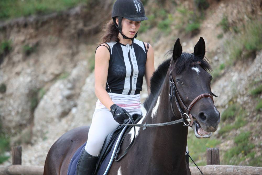 compétition d'équitation (1)