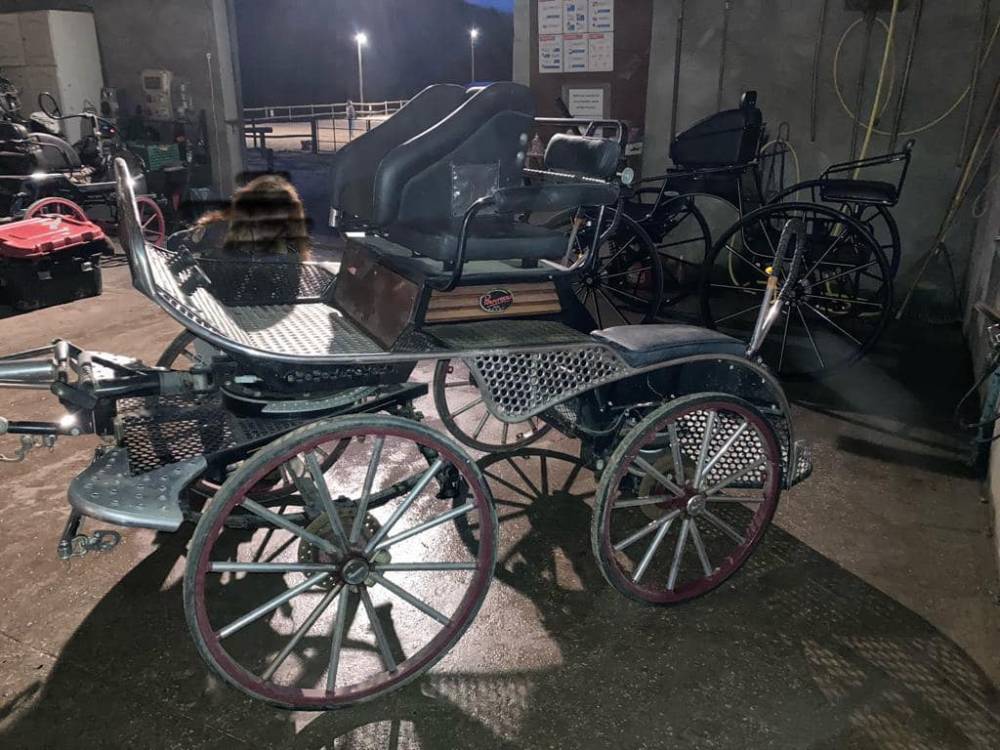 calèche mariage près de Tullins