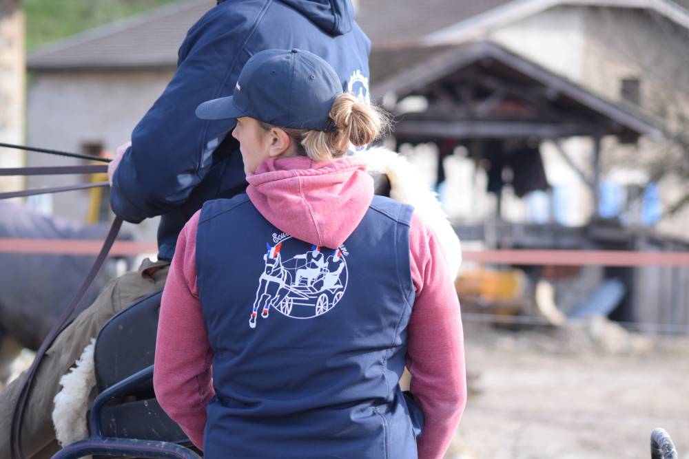 coaching compétition chevaux près de Tullins