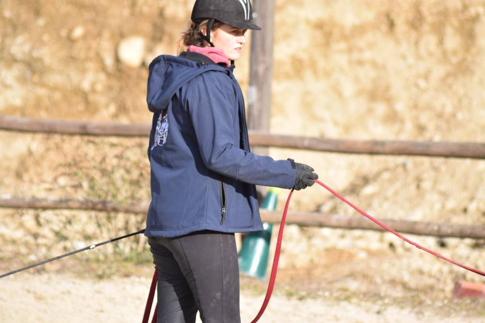 travail à pied cheval près de Tullins